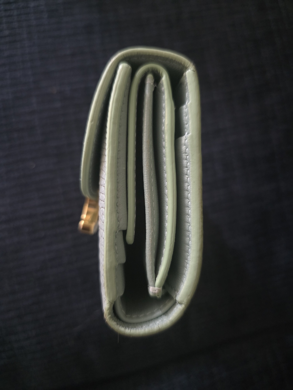 Celine Triomphe Embossed Croc Wallet in Light Green - Picture 9 of 16